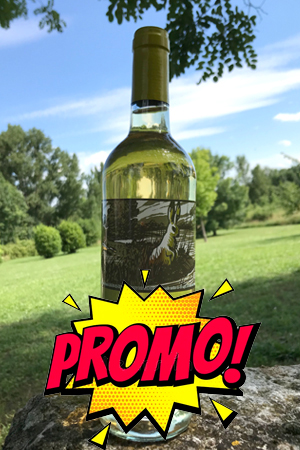 VIGNETTE_LIEV_20_PROMO